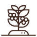 Tier 1 icon